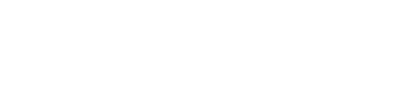 PlayLife